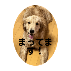 Kosuke_20230408125832