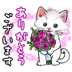 可愛い猫ちゃんのスタンプ♪ - LINE スタンプ | LINE STORE 可愛い猫ちゃんのスタンプ♪ - LINE スタンプ | LINE STORE