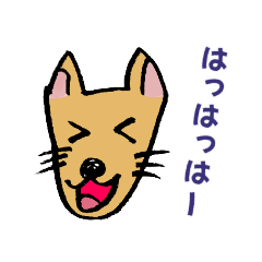 柴犬ジョンの1日