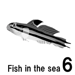 fish in the sea 6