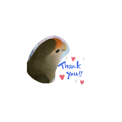 napi_20230408125144