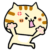 Neko Neko letter 12 -Angryr-