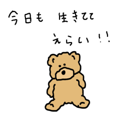 teddy bear Masashi