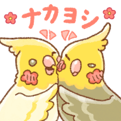 Twins Cockatiel Sticker