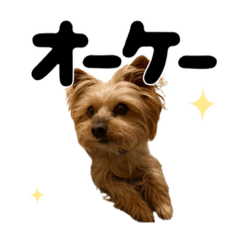 Sakura_20230408143947