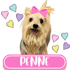 WOOFME WITH PENNE