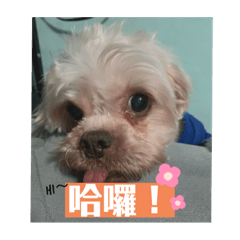 多多ଘ(੭ˊ꒳​ˋ)੭✧