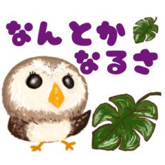 Fluffy owl positive