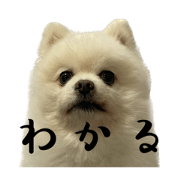 otamabon_20230408204148