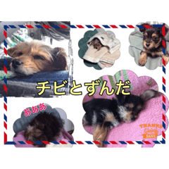 nao_20230408234504