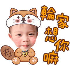 嘉嘉小動物篇