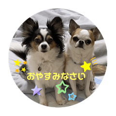 Nao_20230409002618