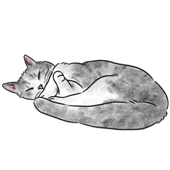 the cats - silver tabby cat sticker