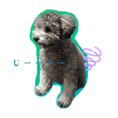 sakura_20230409104050