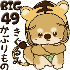 【Big】ちゃちゃ丸 49『きぐるみ』