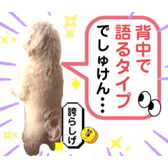【とのまる日記】熊本弁で喋る犬、とのまる