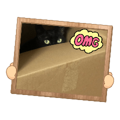 Mizuki_20230409154047