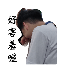 203  Daily