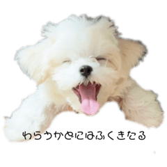 omochi_20230409160546