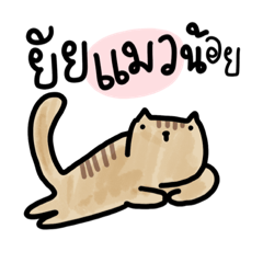 PoMoTo cat Meaningful Nickname