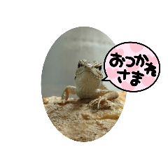 Kanahebi's everyday stamp
