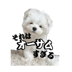 MAKE YOUR LIFE AWESOME!!