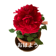 dreams_20230409213537