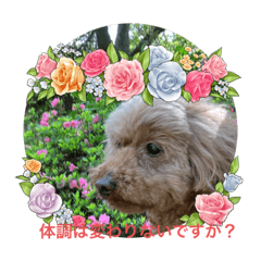 SAYURI_20230409221847