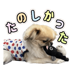 tomomi_20230409223819