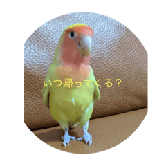 kosuke_20230409210637