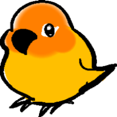 Cute  orange bird message