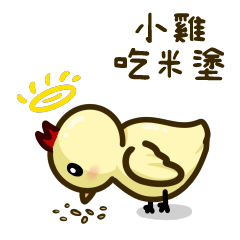 咕咕雞：日常 - 小雞吃米