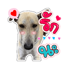 แตง&ขาว