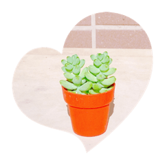 HIKARI_20230410162727