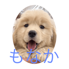 monaka_20230410174755