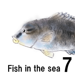 fish in the sea 7