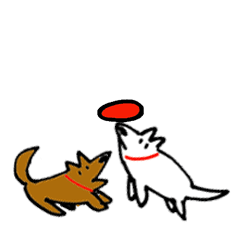 play Frisbee with Dog 3