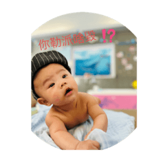 我是昱宏（包子