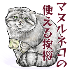 Real manul cat stickers