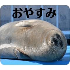 megumi_20230410193621