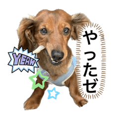 kana_20230410202215