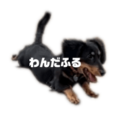 yuga_20230410224522