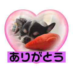 shiho_20230410231747