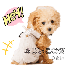 arisa_20230410232602