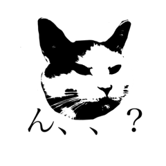 nozomi_20230410192405