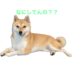 moomooo_20230410215920