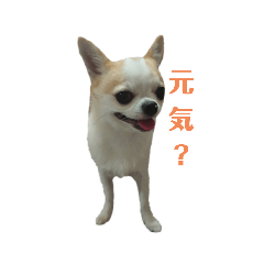 nao_20230410202806