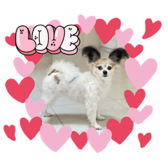 NAO_20230411131223
