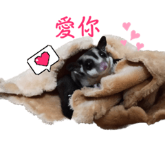 優卡