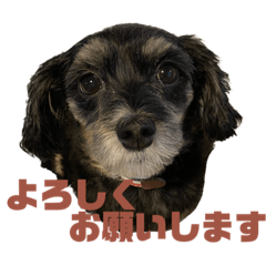 mizuki_20230411141730